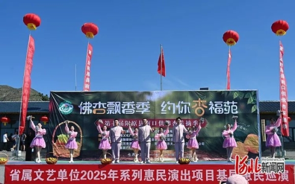图片6