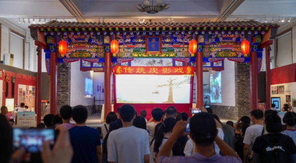 图片1